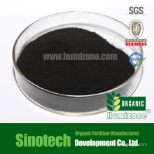 Engrais organique: poudre d&#39;extrait d&#39;algues Humizone (SWE-P)